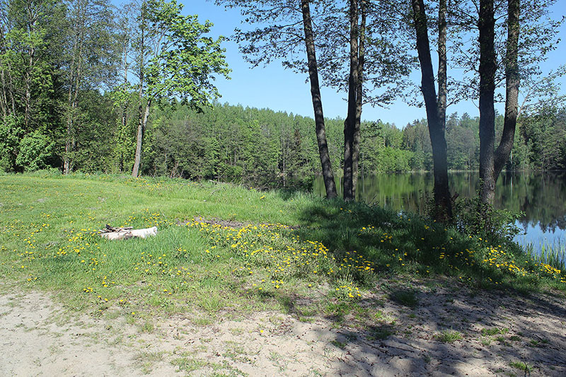 Plaża w Marcinkowie
